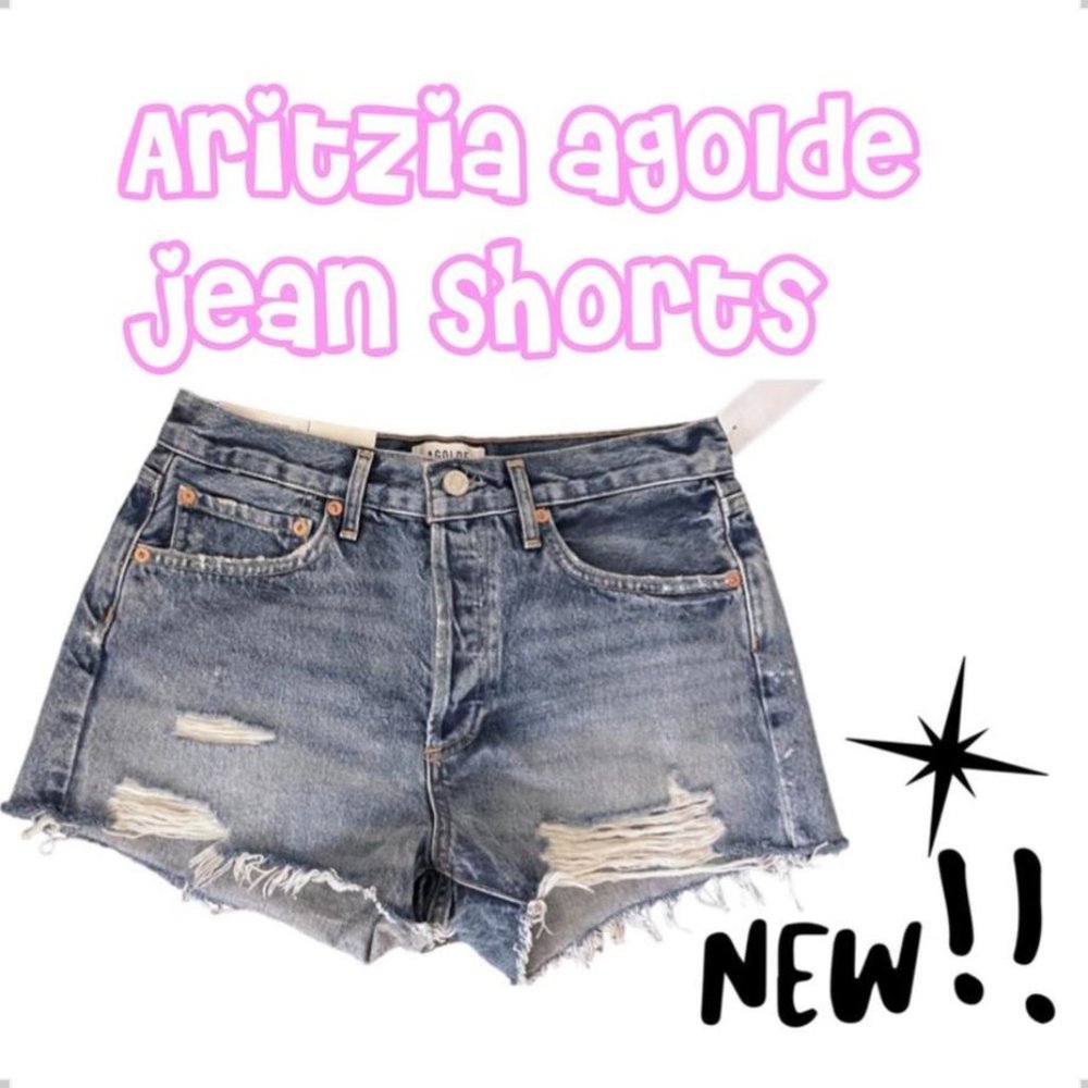 Aritzia Agolde Parker Vintage Cut-Off Short